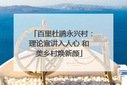 百里杜鹃永兴村：理论宣讲入人心 和美乡村焕新颜